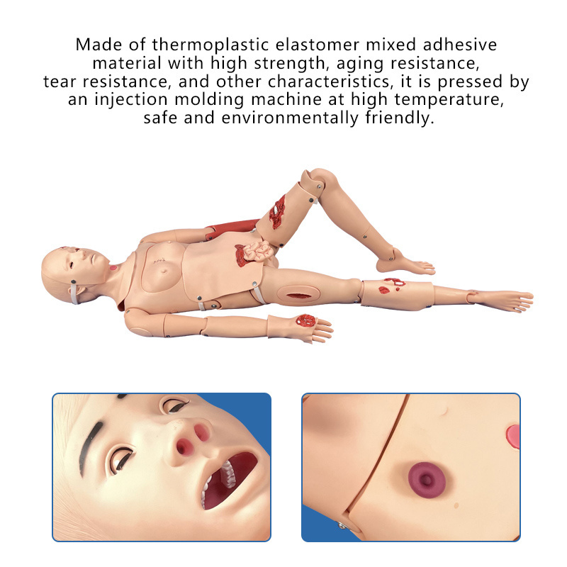 Adult Intubation Catheterization Model