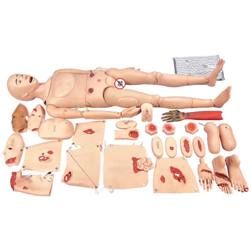 Adult Intubation Catheterization Model