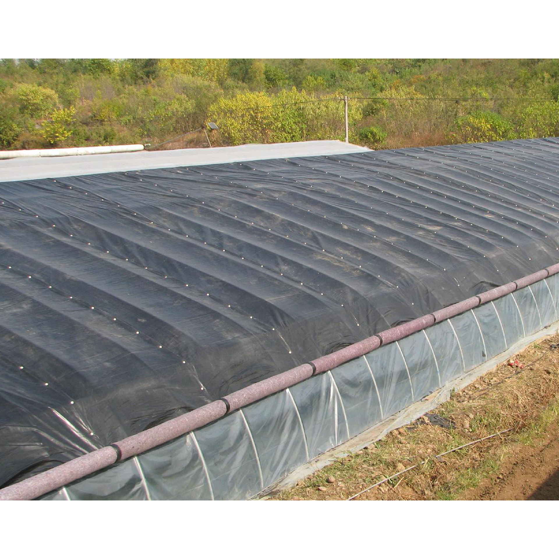 MAXPOWER Greenhouse thermal insulation blanket for wholesales