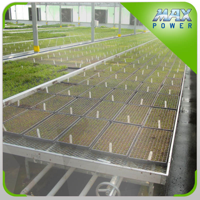 MAXPOWER Nursery growing tables 4x8 5x10 flood drain trays commercial greenhouse ebb and flow rolling bench