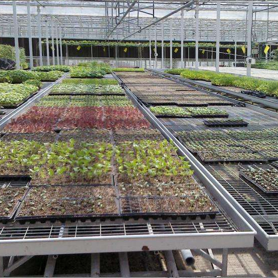 MAXPOWER Nursery growing tables 4x8 5x10 flood drain trays commercial greenhouse ebb and flow rolling bench