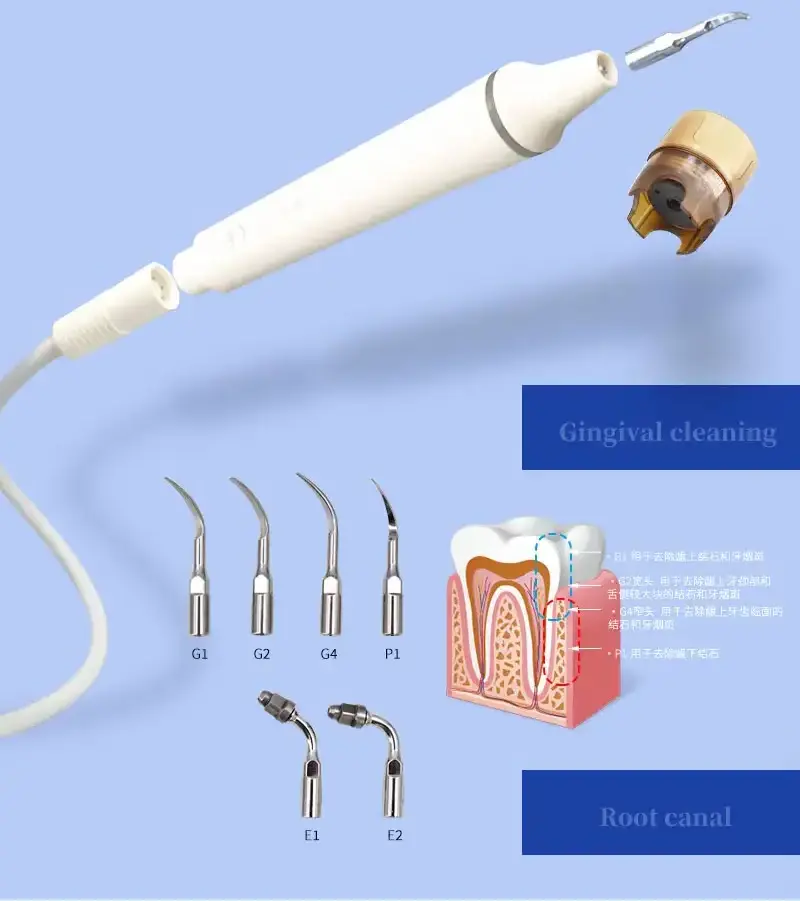 2 in 1 Dental Ultrasonic Scaler with Air Prophy Polisher Complex Dental Ultrasonic Scaler