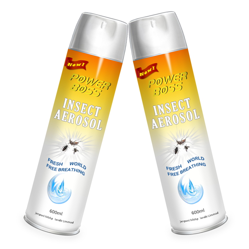 Anti Insect Mosquito Cockroach Fly Aerosol Insecticide Spray