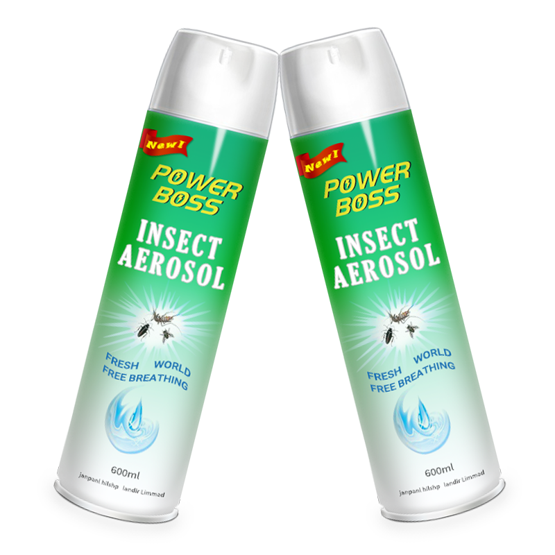 Anti Insect Mosquito Cockroach Fly Aerosol Insecticide Spray