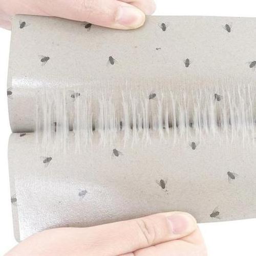 Glue Traps Paper, Fly Glue Board, Fly Paper