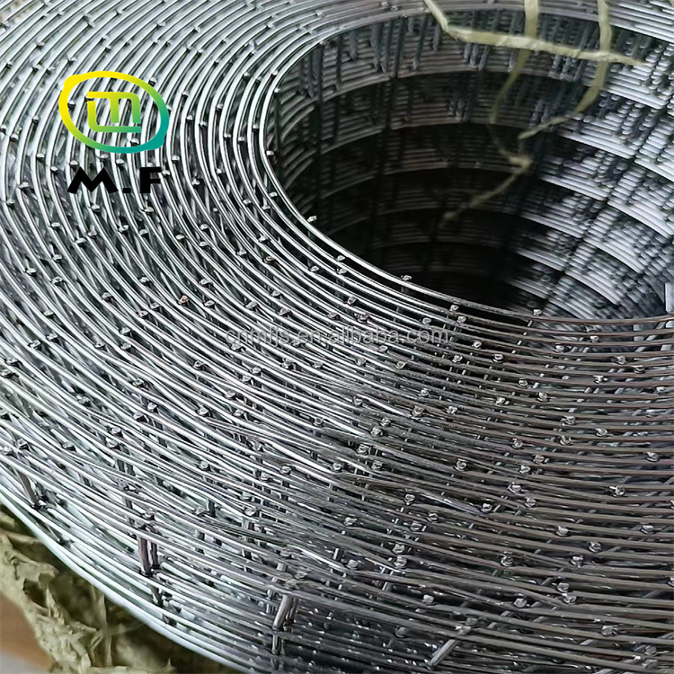 Reinforcing Stainless Steel Welded Wire Mesh Roll Bird Cage Chicken Pens Rabbit Cages