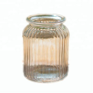 Glass material clear ribbed large jar glass vase for home