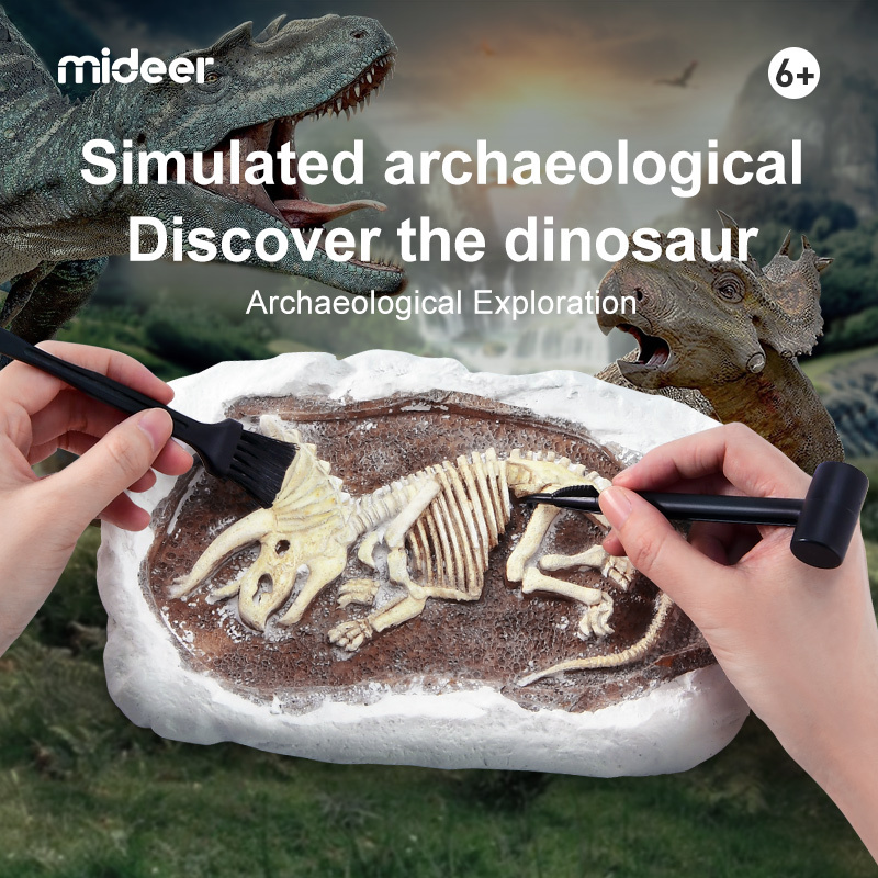 Mideer MD0177 Steam Game Revive Brontosaurus Dinosaur fossil toys Simulated Archaeological Games montessori educational toys