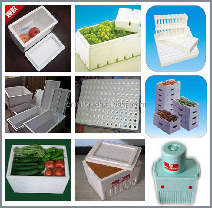 Widely Used styrofoam box machine for fish/fruit/vegetable/wine