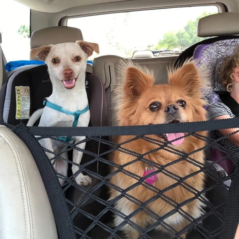 Dog Seat Fences Pet Protection Net Car Seat Storage Net