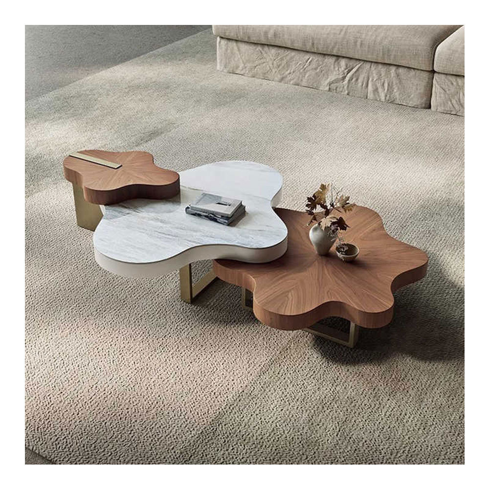 Irregular Cloud Coffee Tables Living Room Furniture Stone Plate Household Minimalist Iron Tea Table