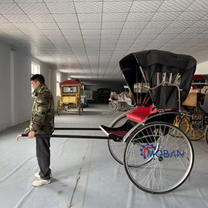 The Old Style Rickshaw Horse Carriage New Arrival 2 Wheel Rickshaw with Low Price Cheap 2 Seats Pedicab Rickshaw