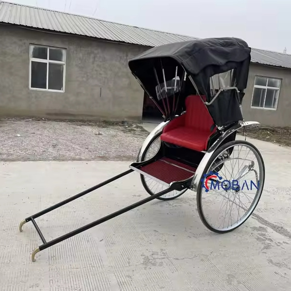 The Old Style Rickshaw Horse Carriage New Arrival 2 Wheel Rickshaw with Low Price Cheap 2 Seats Pedicab Rickshaw