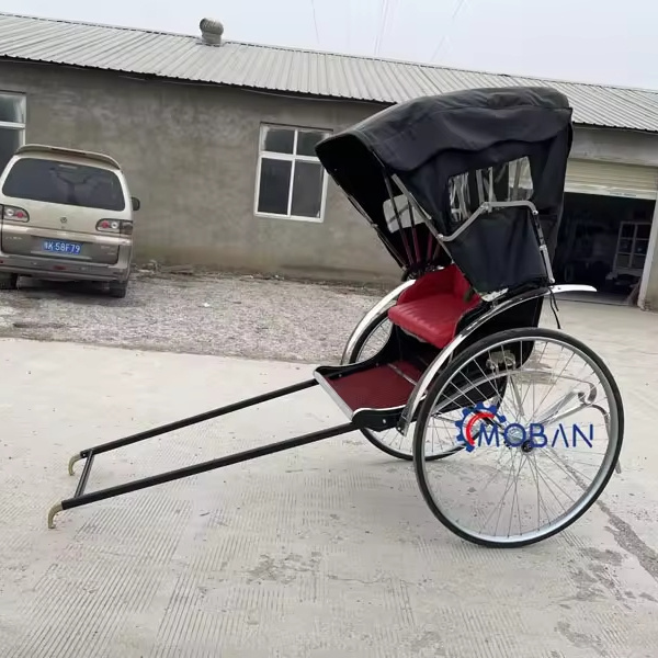 Factory Direct Sale Handwork Two Wheel Rickshaw for Movies/Promotion great 2 wheels mini horse cart/pony horse carriage