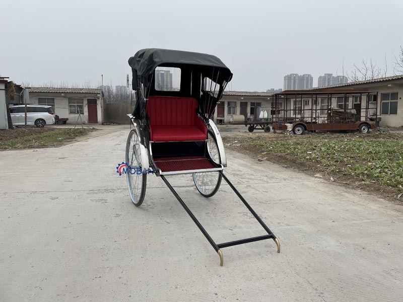 The Old Style Rickshaw Horse Carriage New Arrival 2 Wheel Rickshaw with Low Price Cheap 2 Seats Pedicab Rickshaw