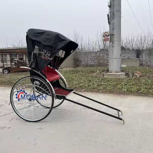 The Old Style Rickshaw Horse Carriage New Arrival 2 Wheel Rickshaw with Low Price Cheap 2 Seats Pedicab Rickshaw