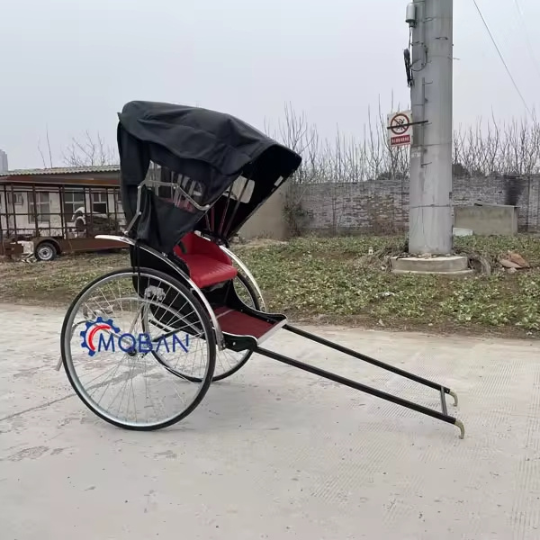 Factory Direct Sale Handwork Two Wheel Rickshaw for Movies/Promotion great 2 wheels mini horse cart/pony horse carriage