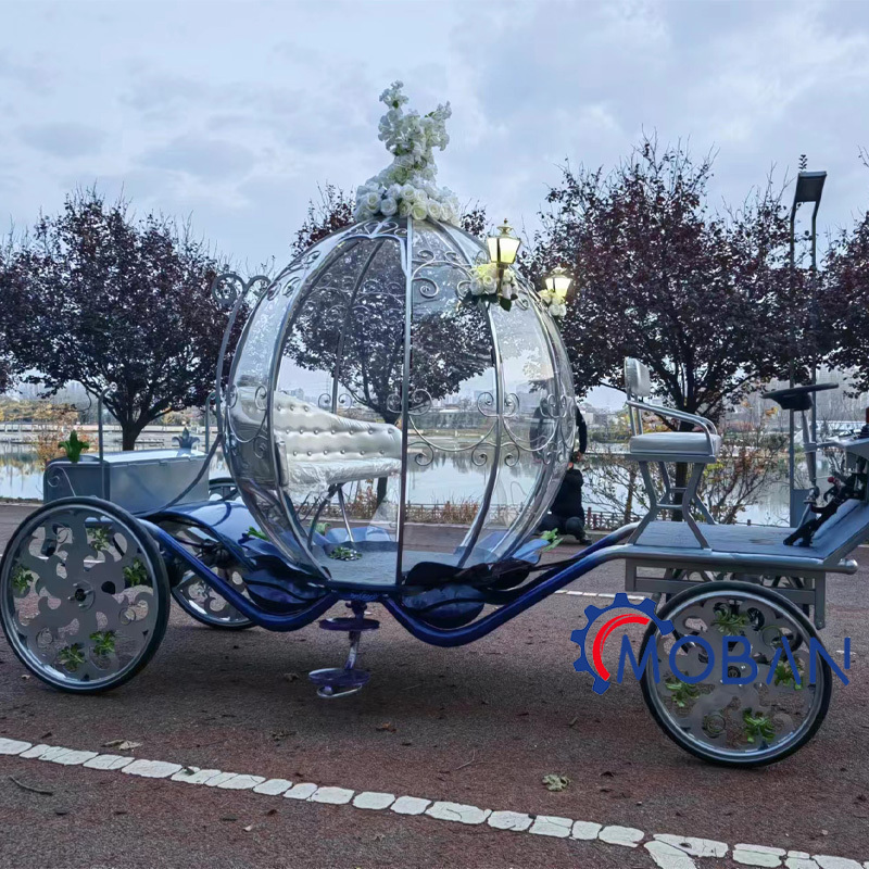 Luxury Victorian Design Sightseeing  electric Horseless Carriage Touring horse carriage