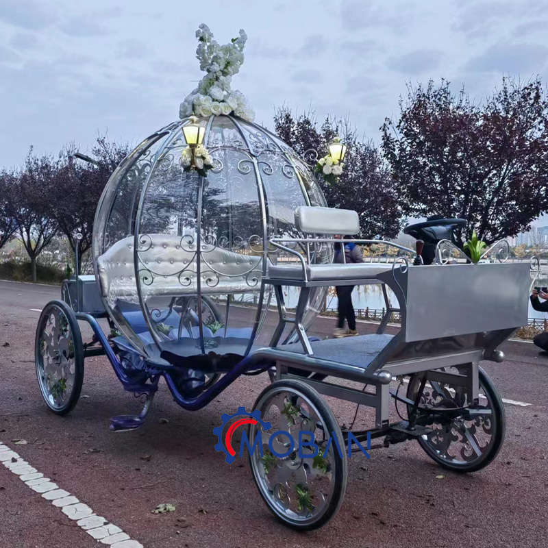 Luxury Victorian Design Sightseeing  electric Horseless Carriage Touring horse carriage