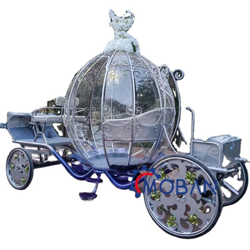 Luxury Victorian Design Sightseeing  electric Horseless Carriage Touring horse carriage