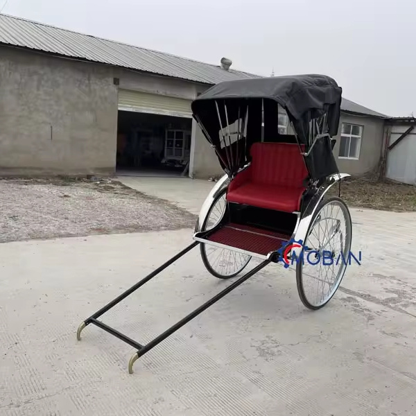 The Old Style Rickshaw Horse Carriage New Arrival 2 Wheel Rickshaw with Low Price Cheap 2 Seats Pedicab Rickshaw