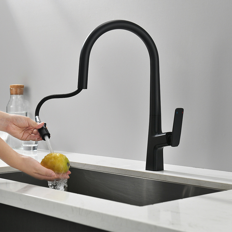 Minwei Faucet Sprayer Faucet Brass Single Handel Pull Out Sink with Pull Down 360 Degrees Kitchen Black Modern Contemporary