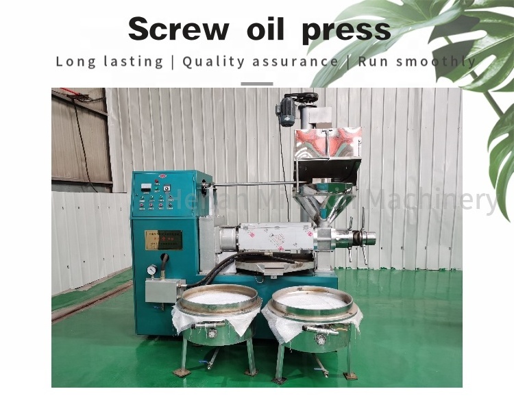 cold oil press olive grain seed oil making pressing oil extraction machine