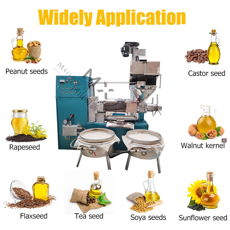 cold oil press olive grain seed oil making pressing oil extraction machine