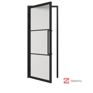 TKM-YY03 Tengyu Interior Swing Door, Steel Frame Glass Swing Door