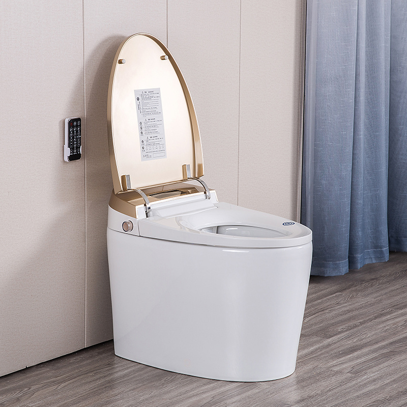 Factory Price Bathroom WC Automatic Electronic Bidet Intelligent Smart Toilet For Home