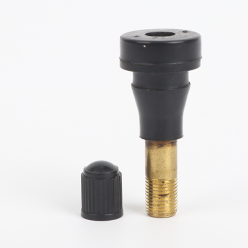 Tyre Valve Stem Auto Parts Tubeless Tire Valve With Dust Caps