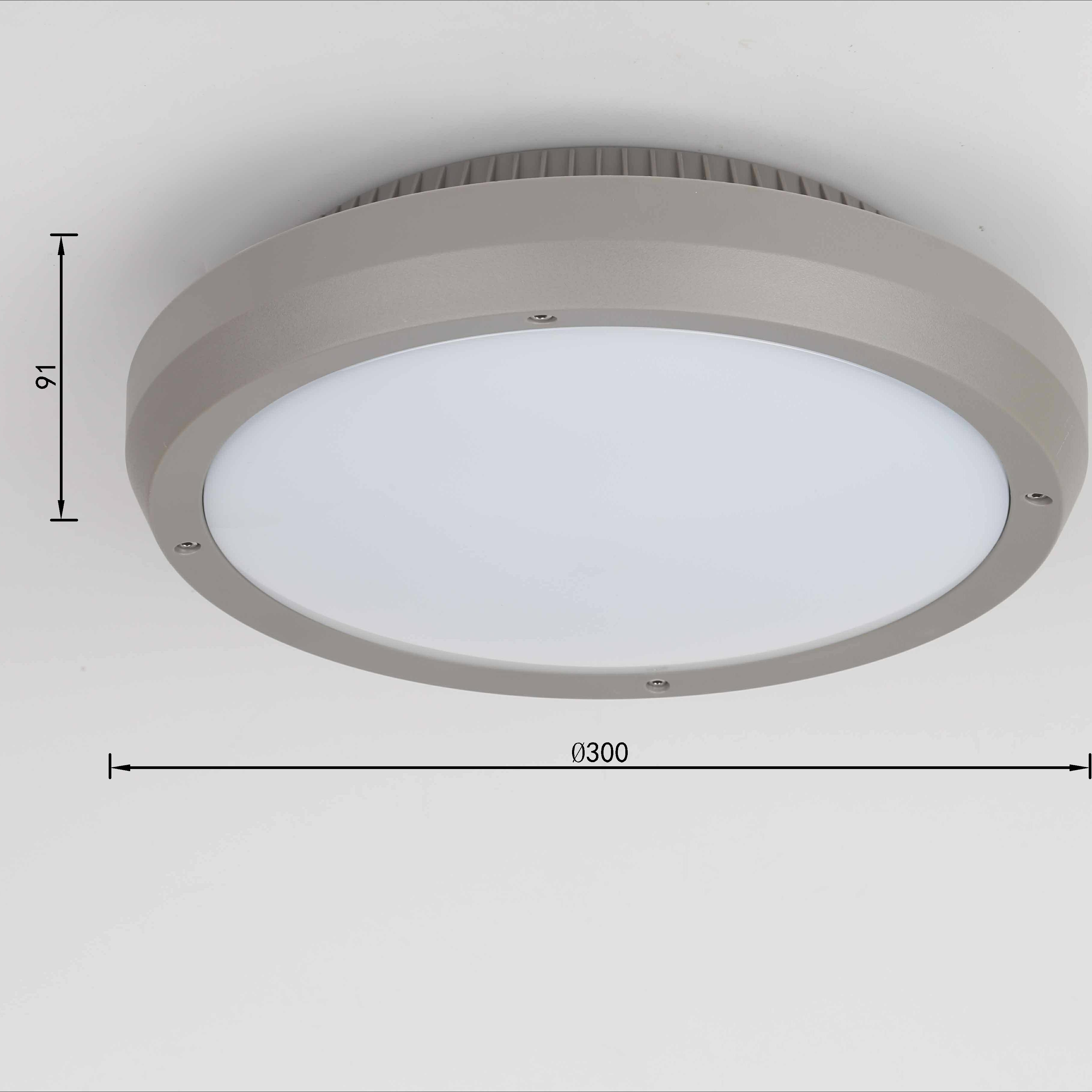 P3001 IP65 PC material SMD LED Outdoor indoor Surface mounted LED Ceiling light