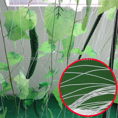 agriculture net vegetable net cucumber net