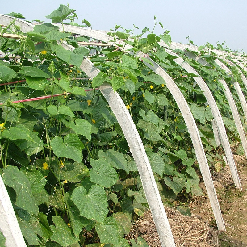 2x100m 24x24cm mesh size white cucumber yam support plant trellis net