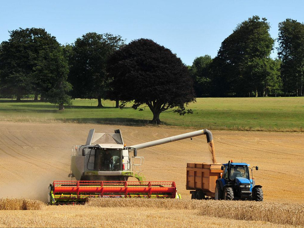 50HP Powerful Systems Combine Harvester Machine For Rice Harvesters GF28