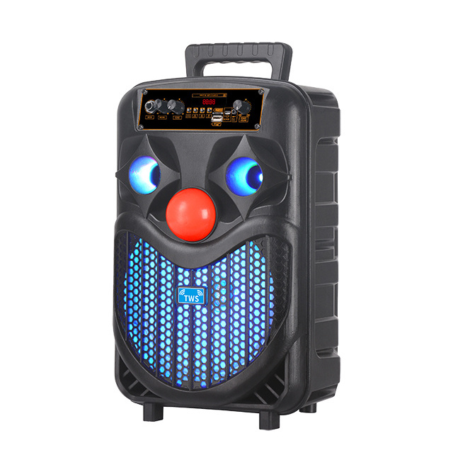 Nisoul Party Karaoke 8 Inch audio with Pull Rod Professional BT Portable Outdoor Trolley Speaker with Led light