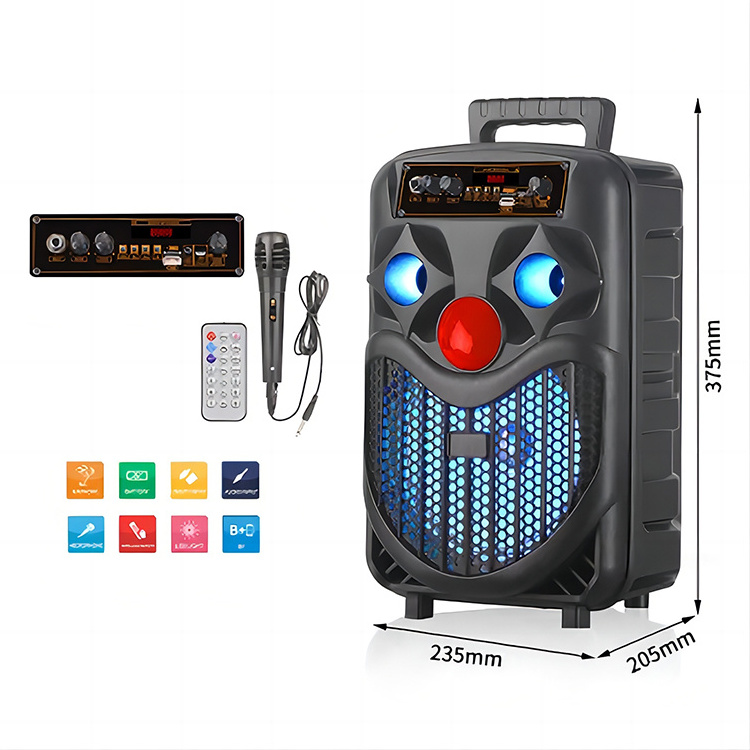 Nisoul Party Karaoke 8 Inch audio with Pull Rod Professional BT Portable Outdoor Trolley Speaker with Led light