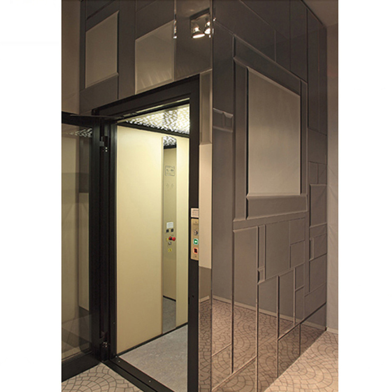 Customized color used modern home elevators for sale