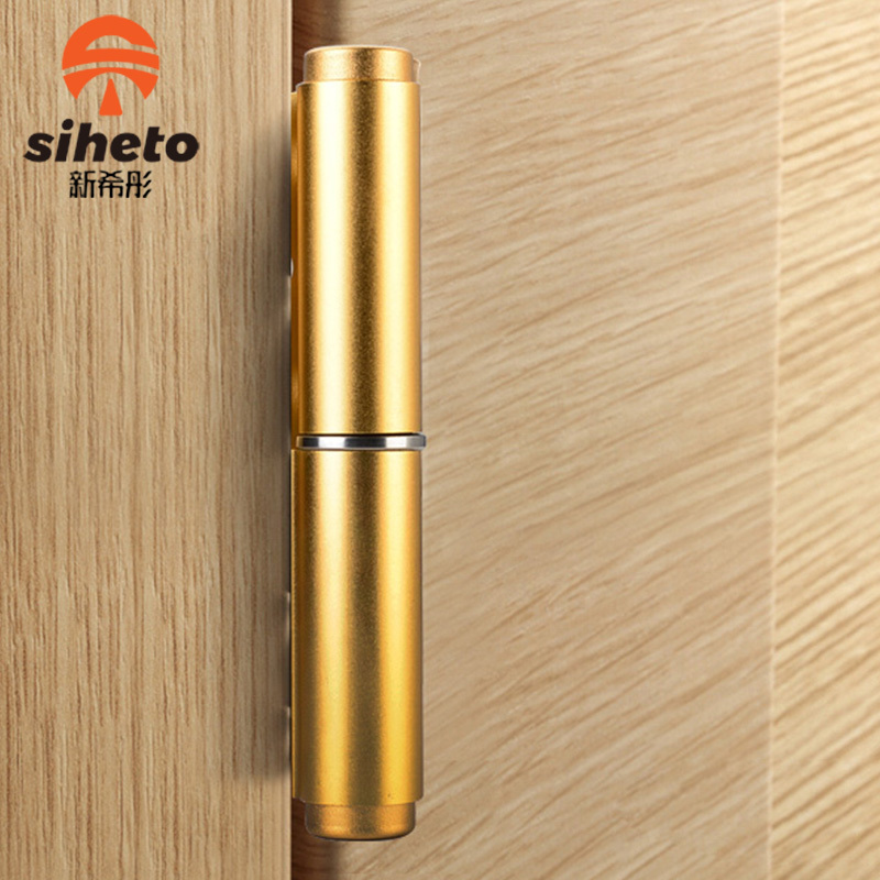 New Product Security Steel-Plastic Door Aluminium Alloy Hydraulic Invisible Mute Golden Door Hinge