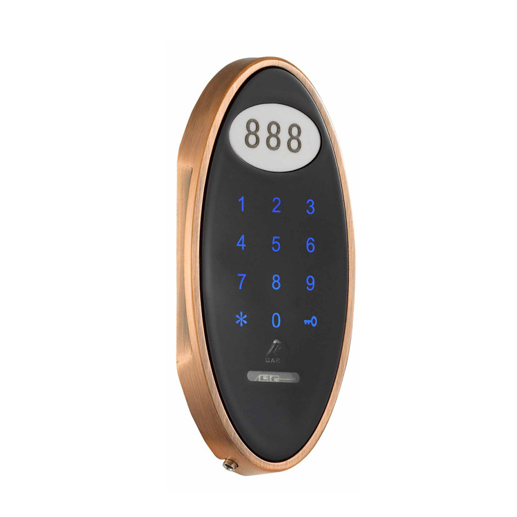 Public use password cabinet locker lock with one time passcode and fixed passcode