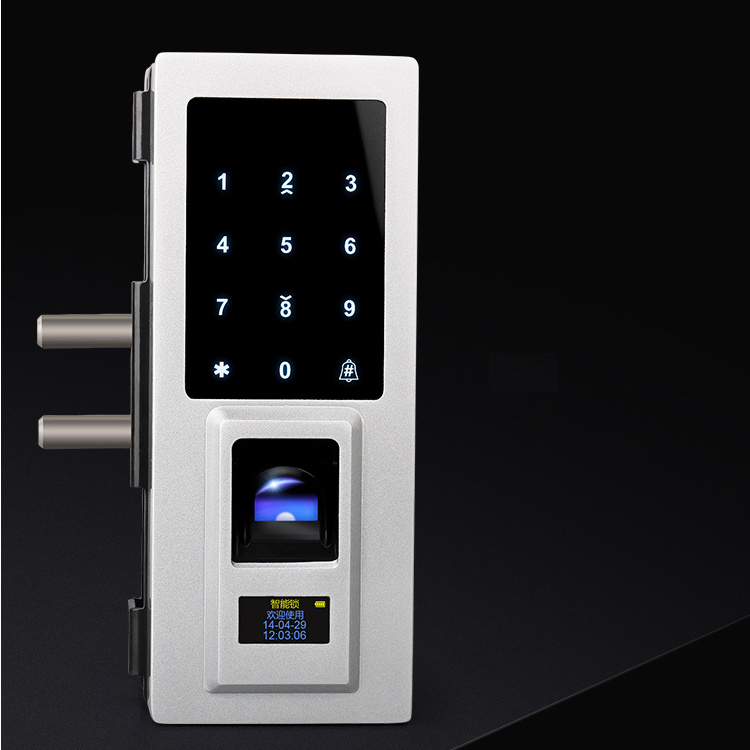 Remote control fingerprint glass door magnetic lock with cards and password