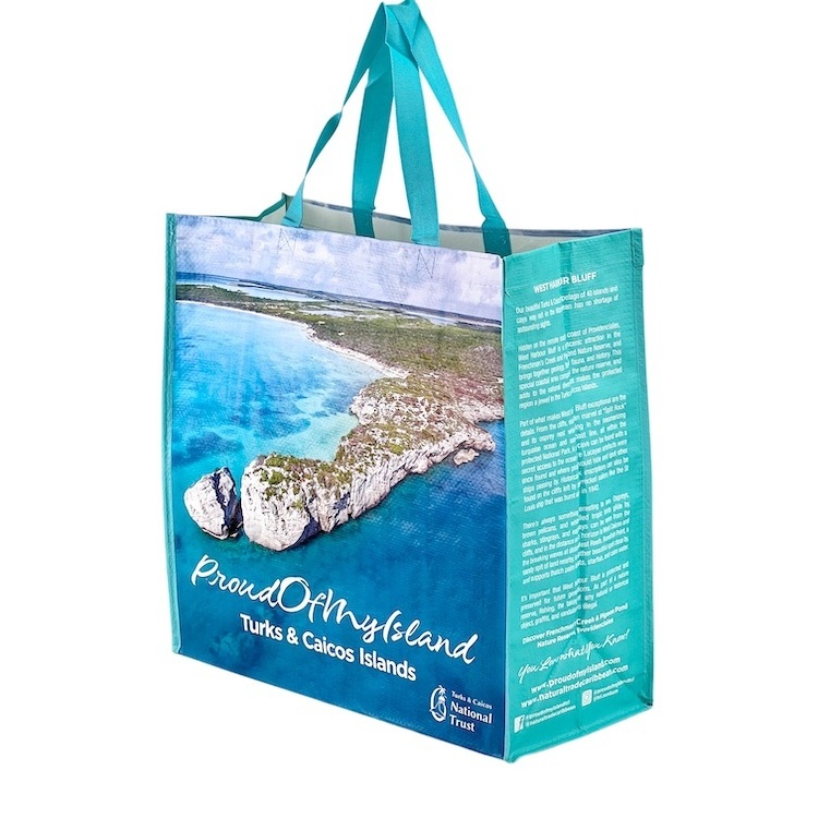 Trusted By Professionals Campaign Travel Trade Show Non Woven Fabric Gift Bag In Cost-effective Way