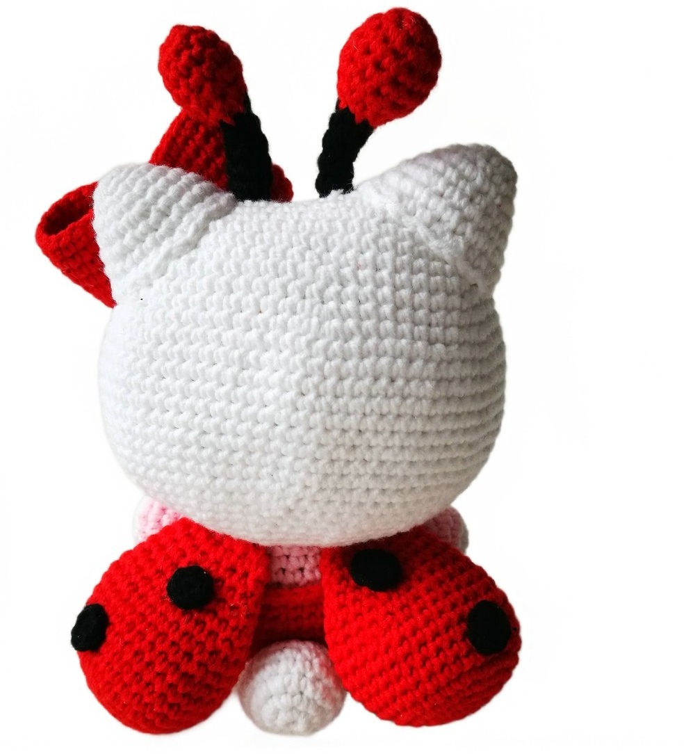 Cute Cat With Ladybug Wing  Crochet Kit  for Beginners with Step by Step Instruction and Video