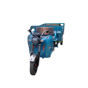 Newest Hot Sale Farming Transportation Universal 200Kg Trike Electric Tricycle For Men Use