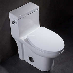 Siphon Jet Flushing Water Closet Toilets One Piece Ceramic Chaozhou Toilet Bowl