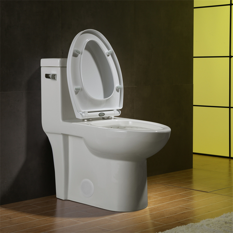 Siphon Jet Flushing Water Closet Toilets One Piece Ceramic Chaozhou Toilet Bowl