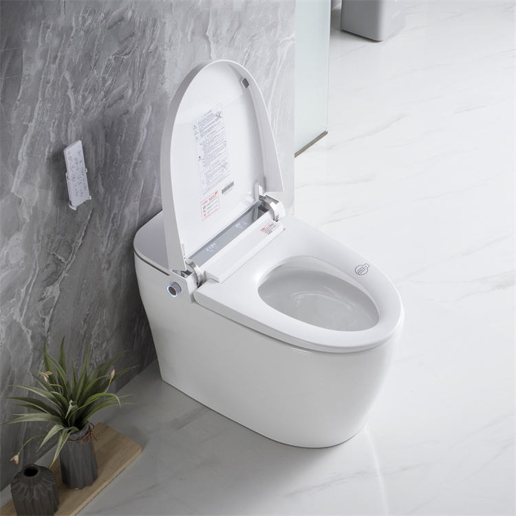 Ovs Ce Europe Unique Ceramic Toilet Commode Automatic Floor Mounted Smart Intelligent Wc Toilet