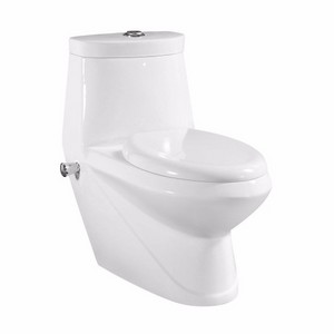 The Middle East Popular Design Combination Toilet Bidet