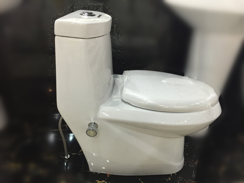 The Middle East Popular Design Combination Toilet Bidet