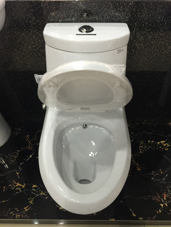 The Middle East Popular Design Combination Toilet Bidet